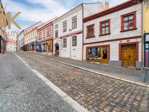 Prodej restaurace, Třebíč, Hasskova, 500 m2