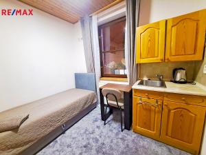 Pronájem bytu 1+kk, Harrachov, 12 m2