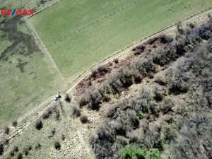 Prodej lesa, Běštín, 21632 m2