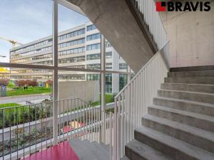 Pronájem bytu 2+kk, Brno - Staré Brno, Fuchsova, 73 m2