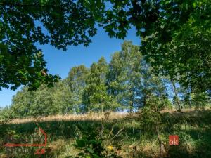 Prodej pozemku pro bydlení, Janov nad Nisou - Hraničná, 1161 m2
