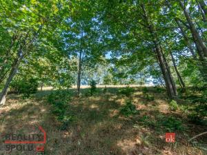 Prodej pozemku pro bydlení, Janov nad Nisou - Hraničná, 1161 m2