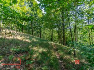Prodej pozemku pro bydlení, Janov nad Nisou - Hraničná, 1161 m2