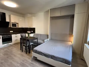 Pronájem bytu 1+kk, Praha - Košíře, Vrchlického, 35 m2