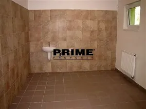 Pronájem rodinného domu, Průhonice, Pod Valem II., 260 m2