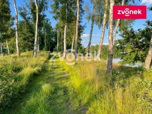Prodej chaty, Strmilov - Leština, 124 m2