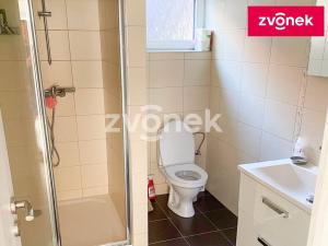 Prodej chaty, Strmilov - Leština, 124 m2