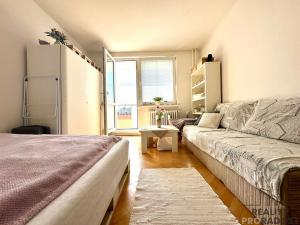Prodej bytu 1+1, Olomouc, Nedvědova, 34 m2