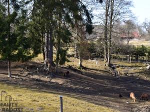 Prodej rodinného domu, Kamenný Malíkov, 121 m2