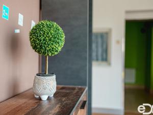 Prodej rodinného domu, Starý Mateřov, 150 m2