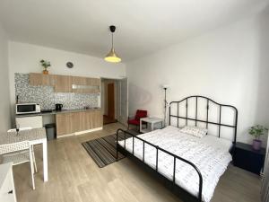 Pronájem bytu 1+kk, Praha - Košíře, Vrchlického, 36 m2