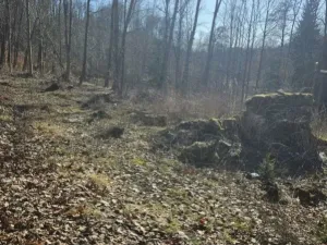 Prodej pozemku pro bydlení, Vysoké nad Jizerou - Stará Ves, 482 m2