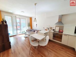 Prodej bytu 2+kk, Olomouc, Družební, 1900 m2