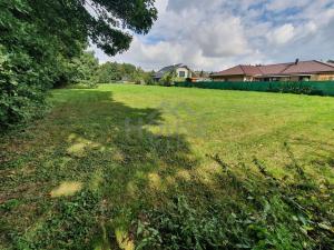 Prodej pozemku pro bydlení, Louňovice, Na Konci, 4297 m2