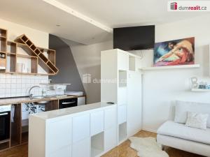 Pronájem bytu 1+kk, Ústí nad Labem - Krásné Březno, V Oblouku, 31 m2