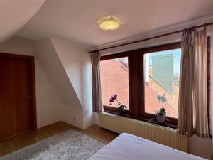 Prodej bytu 4+kk, Cheb, Hálkova, 132 m2