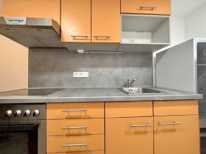 Pronájem bytu 1+kk, Praha - Vysočany, Freyova, 25 m2