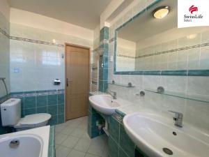 Prodej rodinného domu, Hrušovany nad Jevišovkou, Mokrá, 220 m2