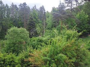 Prodej chaty, Chocerady, 50 m2