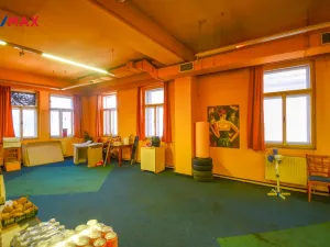 Prodej rodinného domu, Třebechovice pod Orebem, Masarykovo náměstí, 310 m2