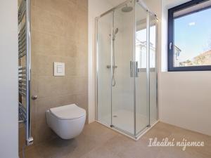 Pronájem bytu 3+kk, Hradec Králové - Pražské Předměstí, Albertova, 52 m2