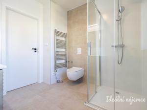 Pronájem bytu 3+kk, Hradec Králové - Pražské Předměstí, Albertova, 52 m2