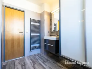 Pronájem bytu 3+kk, Hradec Králové - Pražské Předměstí, Albertova, 55 m2