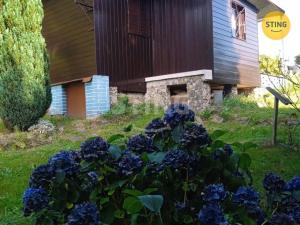 Prodej zahrady, Albrechtice, 443 m2