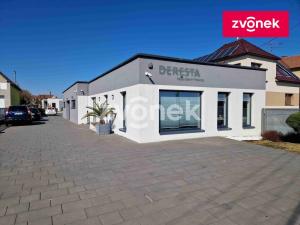 Prodej obchodního prostoru, Babice, 222 m2