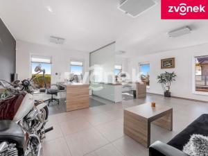 Prodej obchodního prostoru, Babice, 222 m2