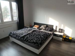 Pronájem bytu 2+1, Most, Zdeňka Fibicha, 53 m2