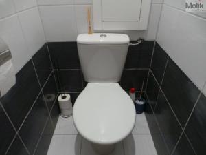 Pronájem bytu 2+1, Most, Zdeňka Fibicha, 53 m2