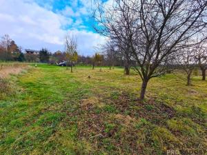 Prodej zahrady, Ivanovice na Hané, 723 m2