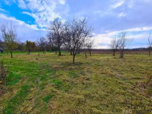 Prodej zahrady, Ivanovice na Hané, 723 m2