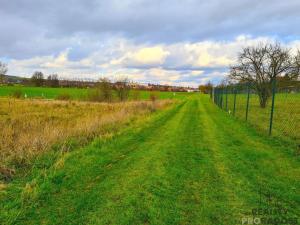 Prodej zahrady, Ivanovice na Hané, 723 m2