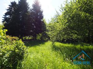 Prodej chalupy, Stará Paka - Roškopov, 250 m2