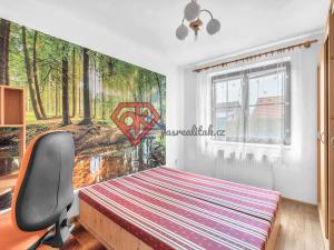 Prodej bytu 2+1, Dobruška, Fr. Kupky, 50 m2