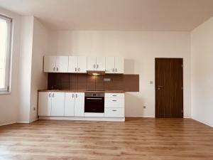 Pronájem bytu 2+kk, Ostrava - Vítkovice, Erbenova, 52 m2