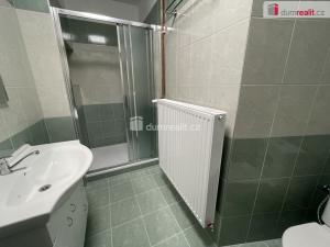 Pronájem bytu 3+kk, Mirovice, Táborská, 63 m2