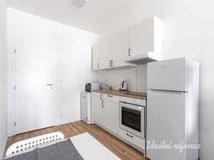 Pronájem bytu 1+kk, Praha - Kyje, Za černým mostem, 25 m2