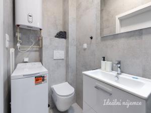 Pronájem bytu 1+kk, Praha - Kyje, Za černým mostem, 25 m2