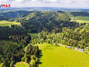 Prodej pozemku pro bydlení, Říčky v Orlických horách, 3863 m2