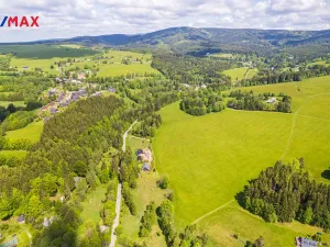 Prodej pozemku pro bydlení, Říčky v Orlických horách, 3863 m2