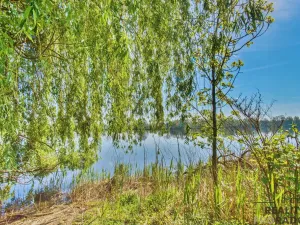 Prodej pozemku pro bydlení, Jistebník, 1671 m2