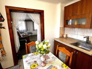 Prodej rodinného domu, Šluknov, Sluneční, 881 m2