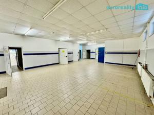 Pronájem obchodního prostoru, Kraslice, 5. května, 1200 m2