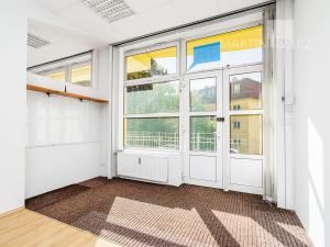 Prodej obchodního prostoru, Praha - Motol, Brdlíkova, 100 m2