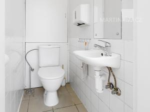 Prodej obchodního prostoru, Praha - Motol, Brdlíkova, 100 m2