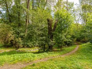 Prodej obchodního prostoru, Praha - Motol, Brdlíkova, 100 m2