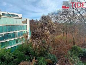 Pronájem bytu 1+kk, Praha - Smíchov, Pod Hybšmankou, 50 m2